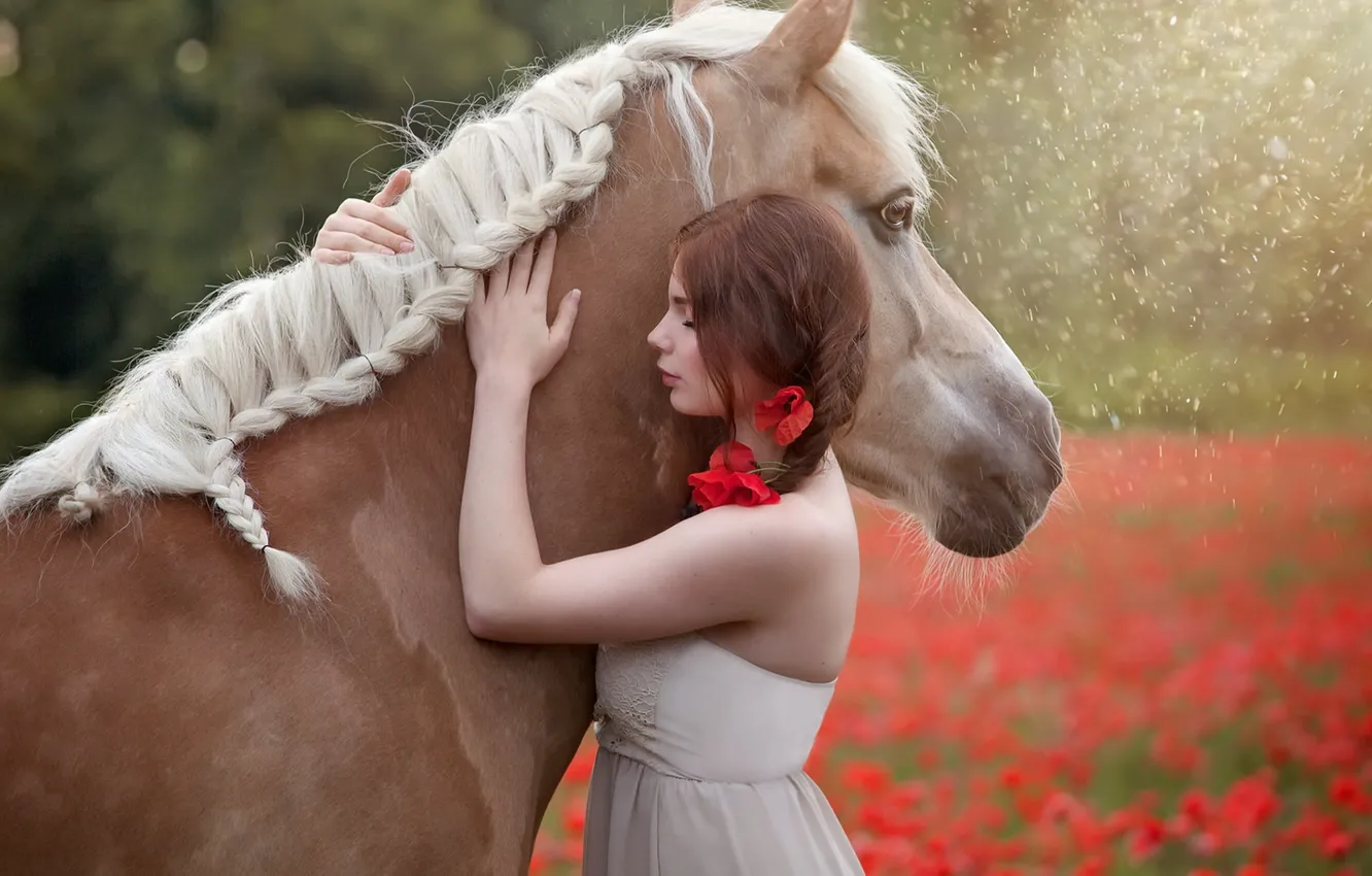 Photo wallpaper summer, girl, horse