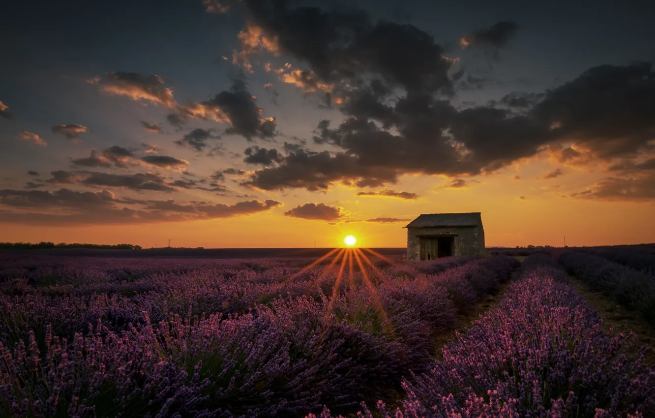 Photo wallpaper field, the sky, the sun, clouds, rays, sunset, flowers, France