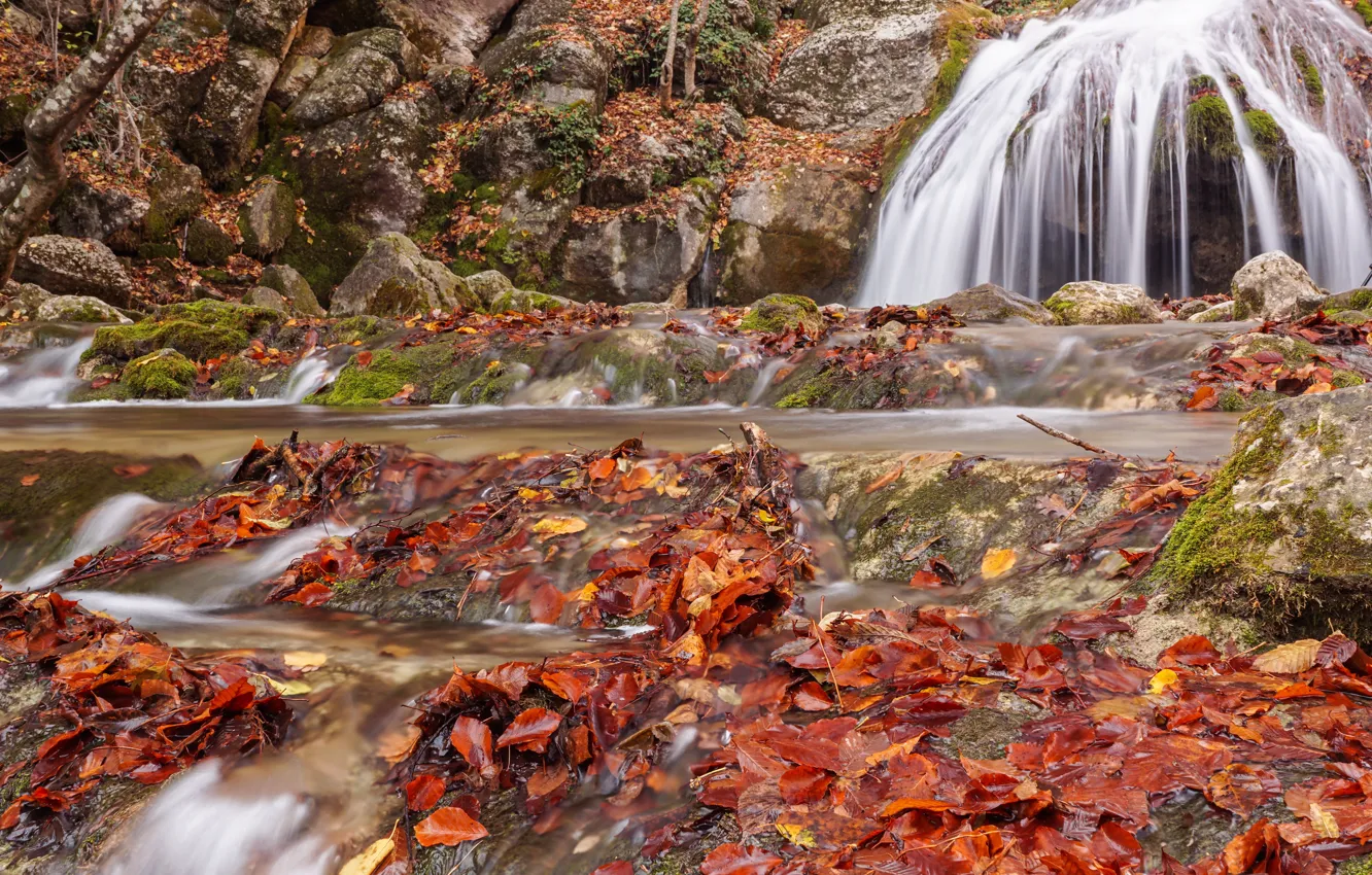 Photo wallpaper autumn, leaves, waterfall, colorful, nature, autumn, leaves, waterfall