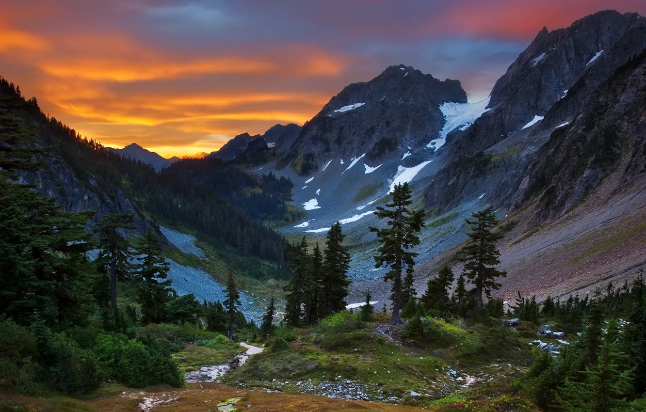 Photo wallpaper forest, mountains, nature, view