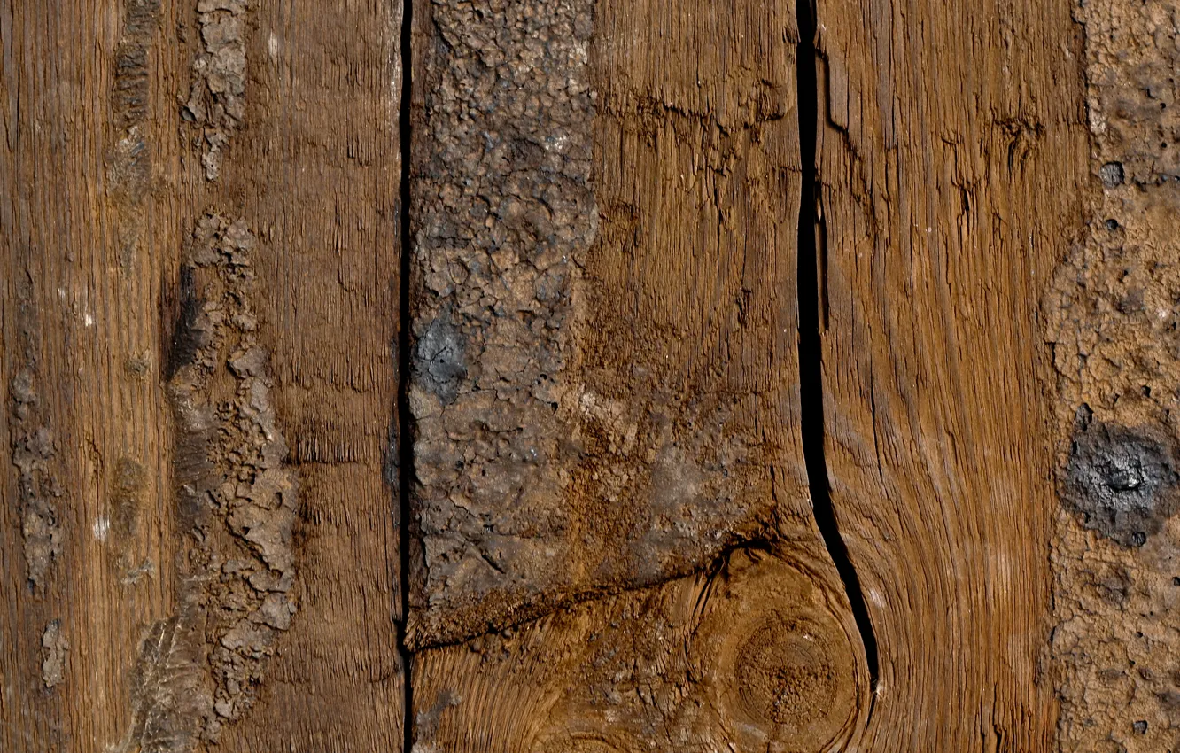 Photo wallpaper wood, pattern, dark brown