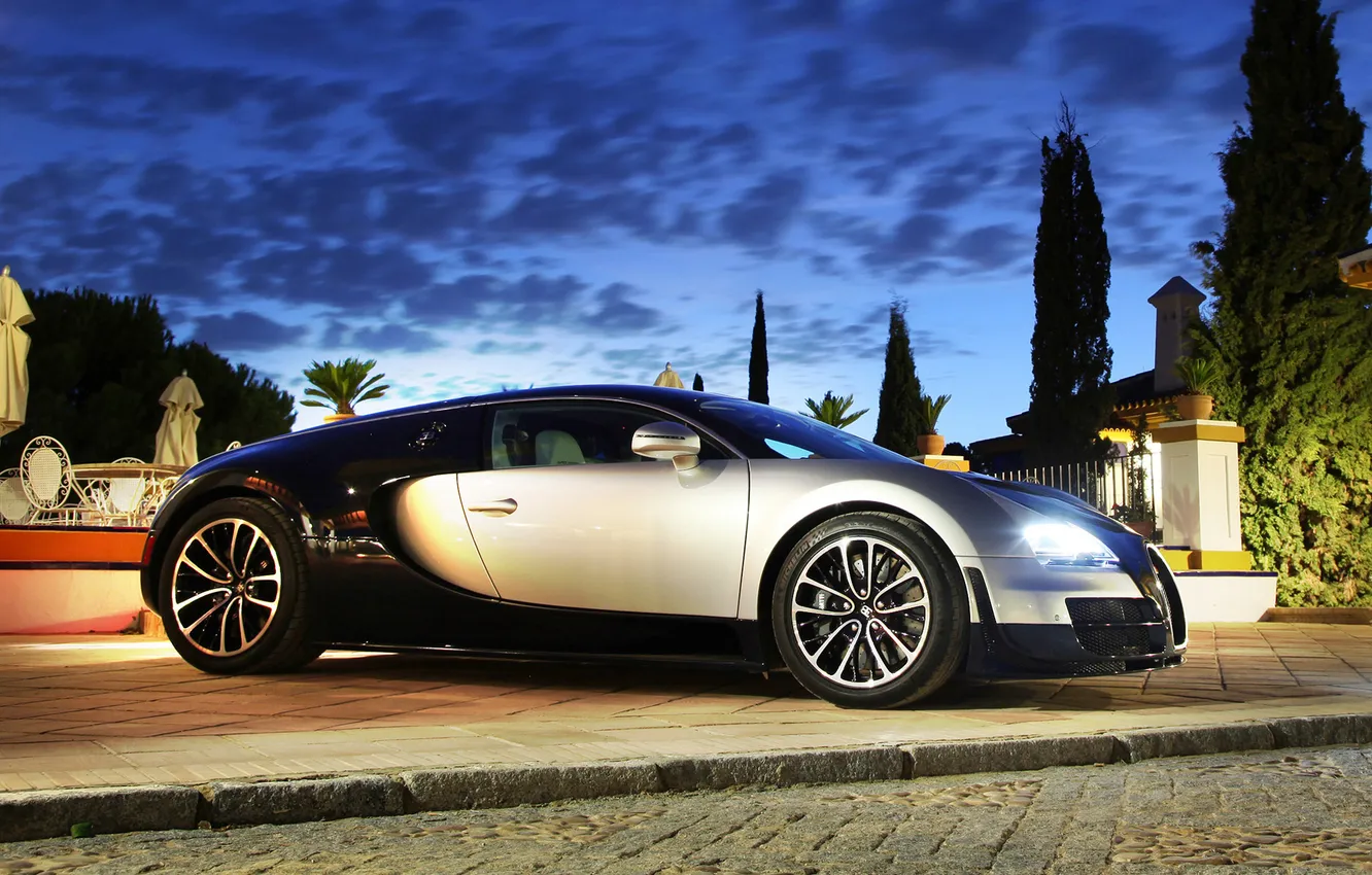 Photo wallpaper lights, plant, the evening, Bugatti, Veyron