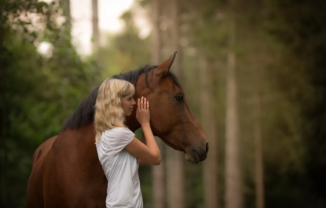 Photo wallpaper girl, mood, horse