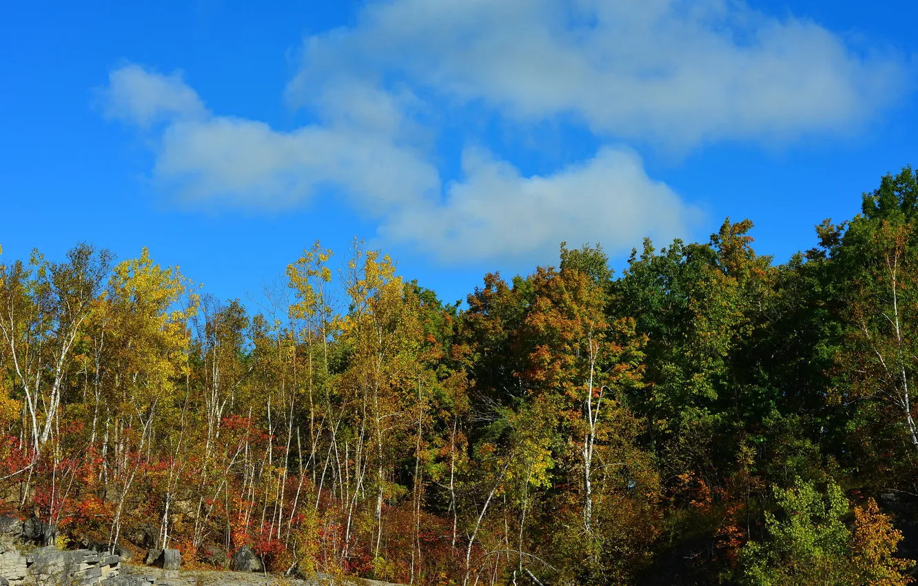 Photo wallpaper autumn, the sky, clouds, trees, rock