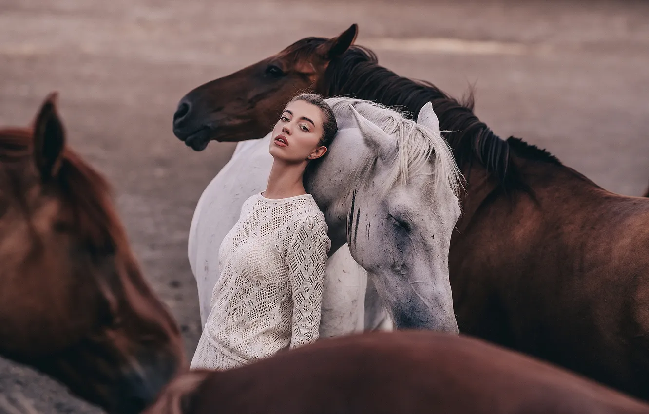 Photo wallpaper girl, horse, horse