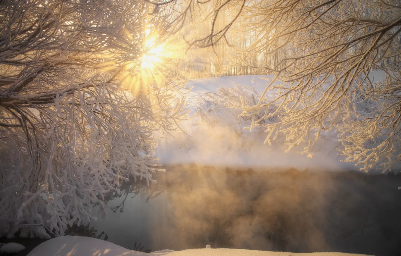 Photo wallpaper winter, the sun, branches, stream, frost, Eduard Gordeev