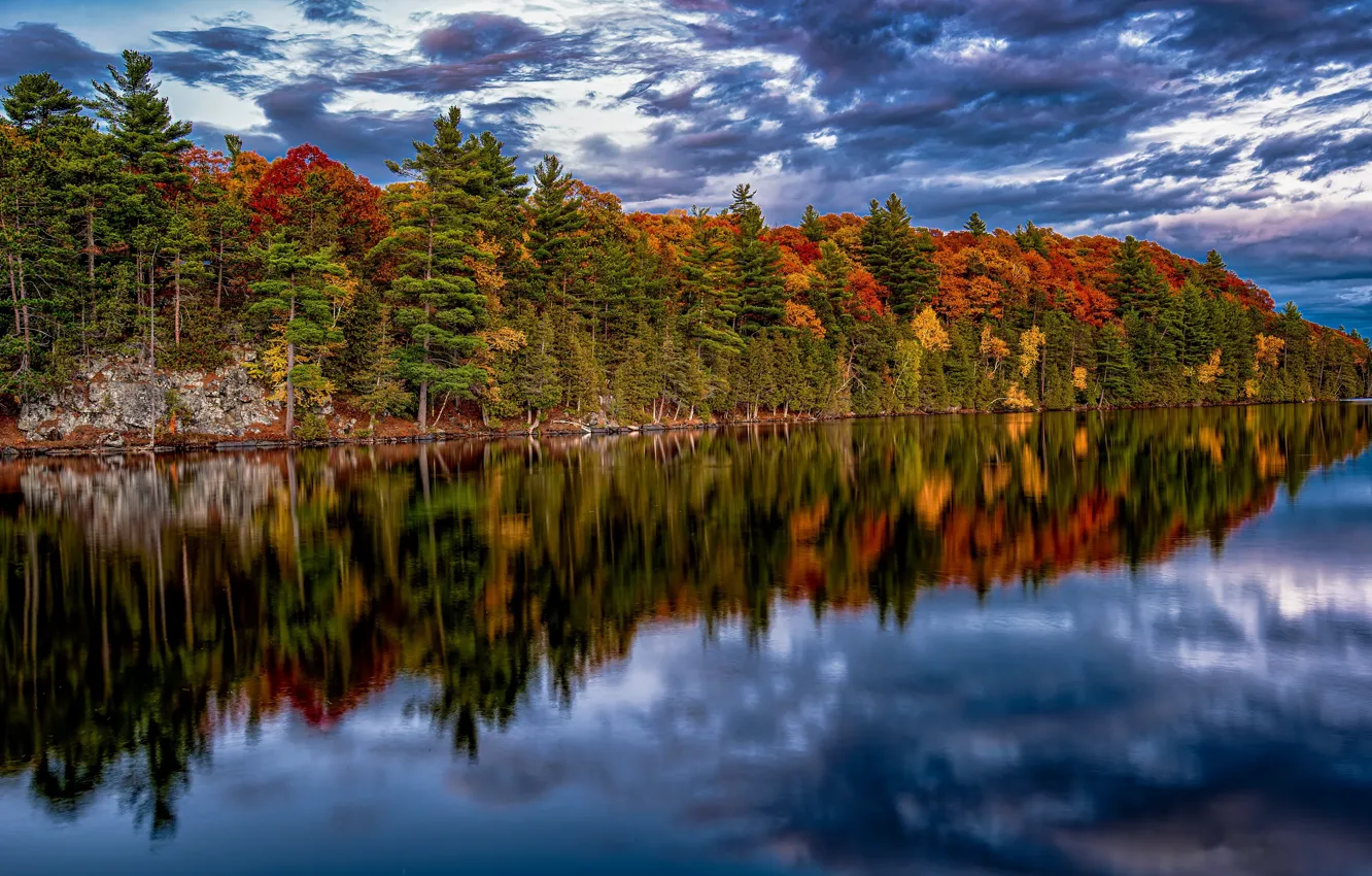 Photo wallpaper autumn, Ontario, Whitewater, Garden of Eden
