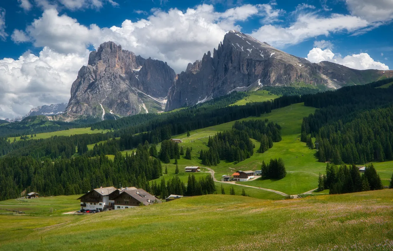 Photo wallpaper field, forest, summer, the sky, clouds, mountains, blue, tops