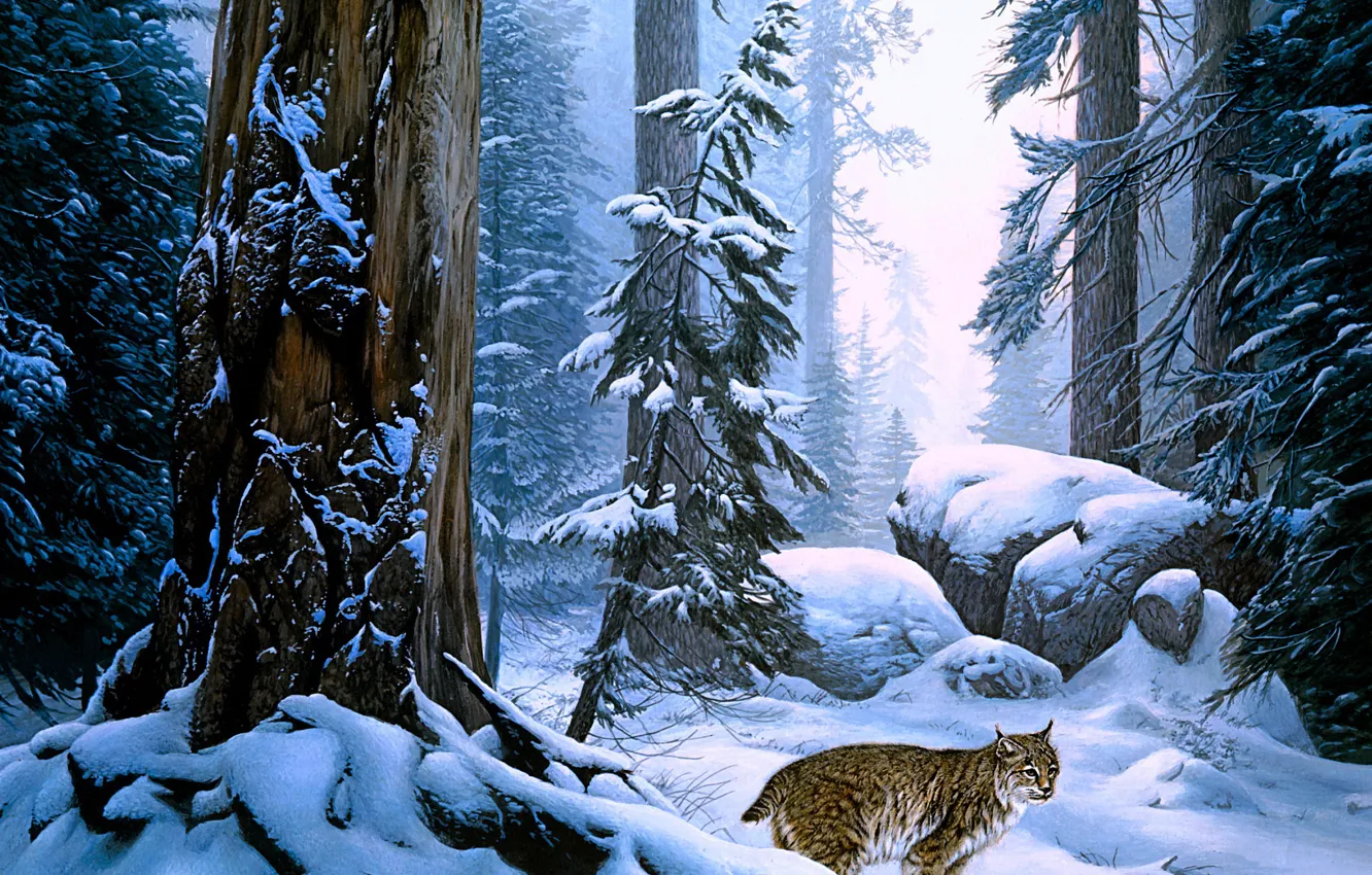 Photo wallpaper winter, forest, snow, trees, branches, nature, fog, stones