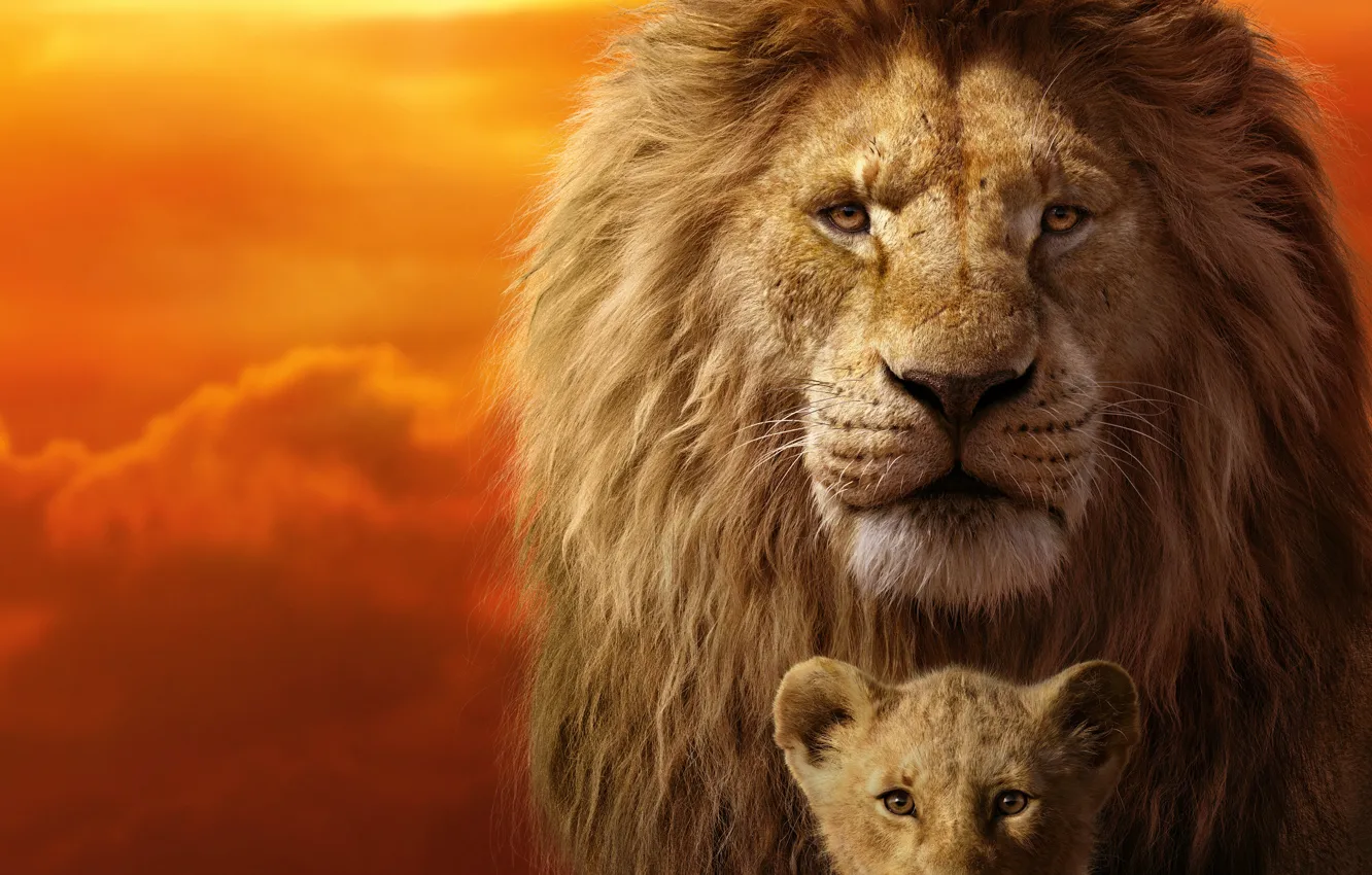 Photo wallpaper frame, lion, The Lion King