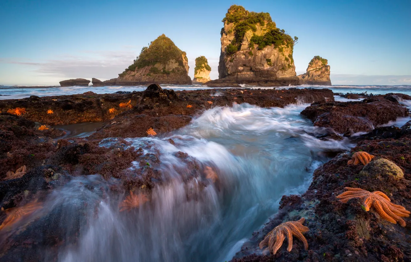 Photo wallpaper sea, the sky, stones, rocks, shore, horizon, starfish