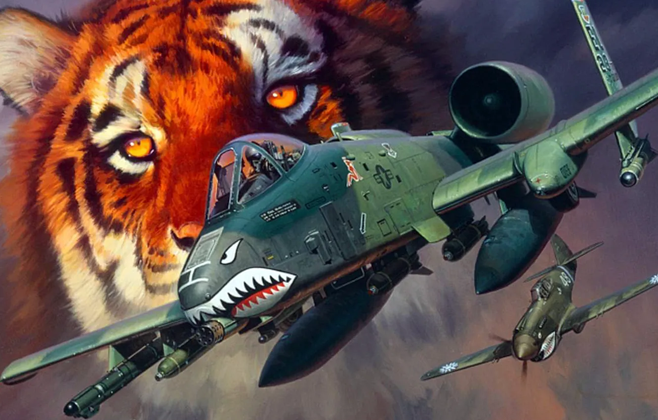 Photo wallpaper tiger, figure, art, A-10, Curtiss, P-40, Warhawk, Fairchild