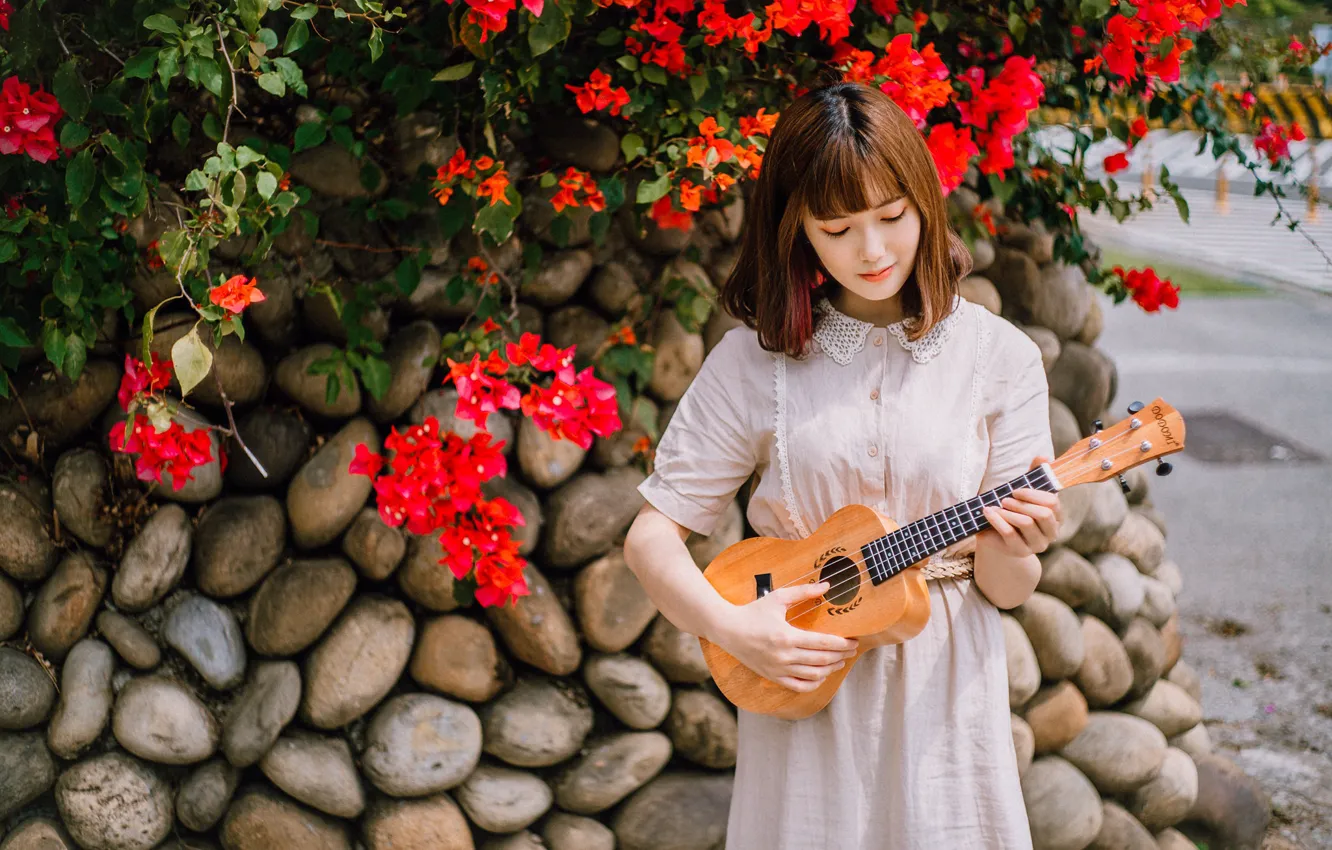 Photo wallpaper stones, guitar, Asian