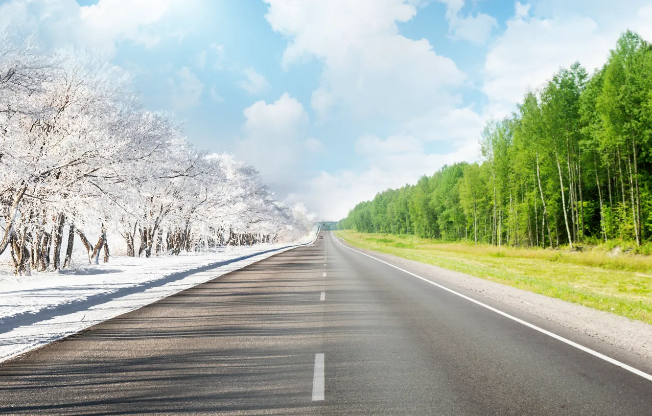 Photo wallpaper winter, road, summer, the sky, trees, markup