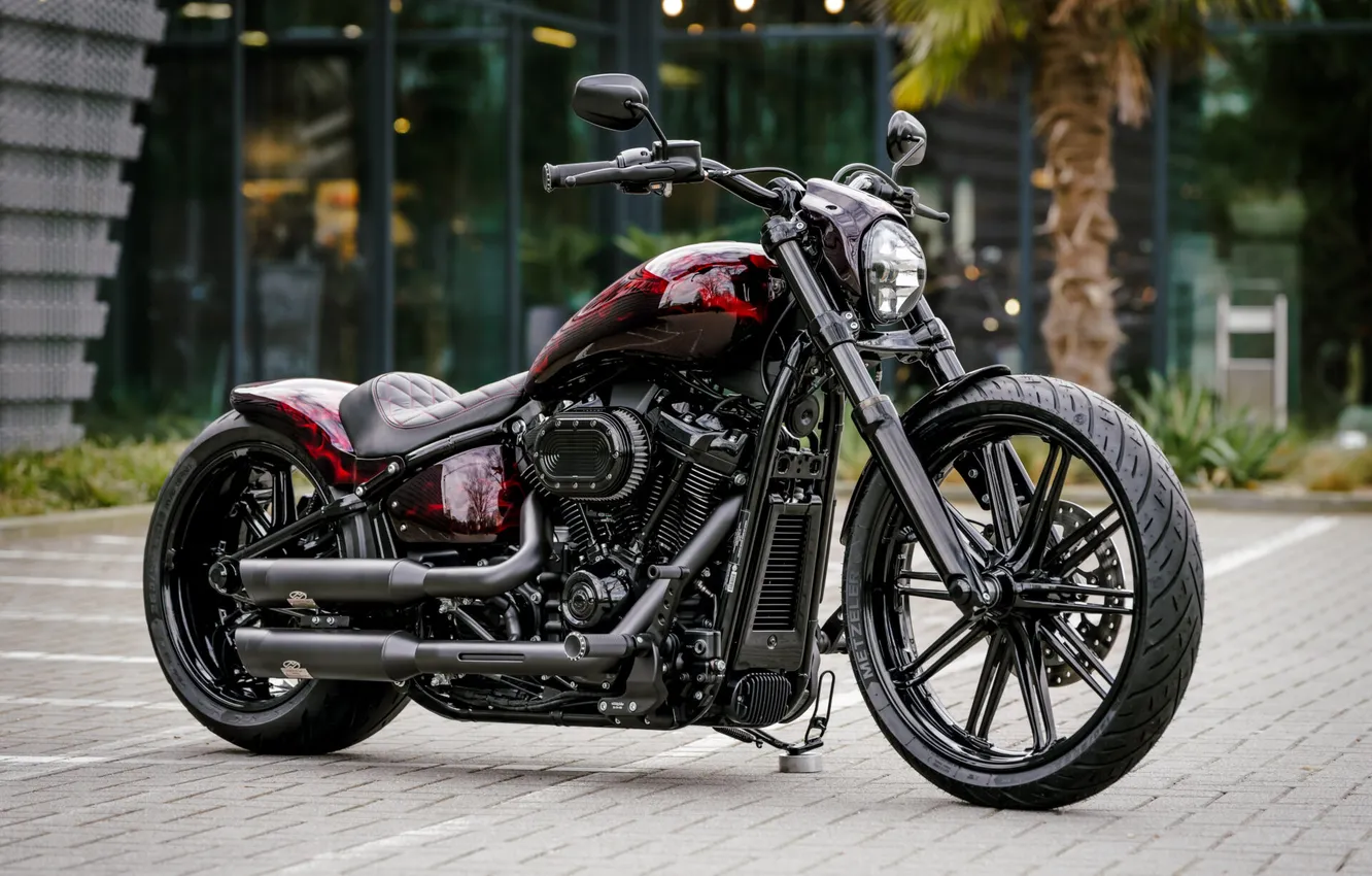 Photo wallpaper sake, Tuning, Harley-Davidson, burning, customized, 114, Thunderbike, softial