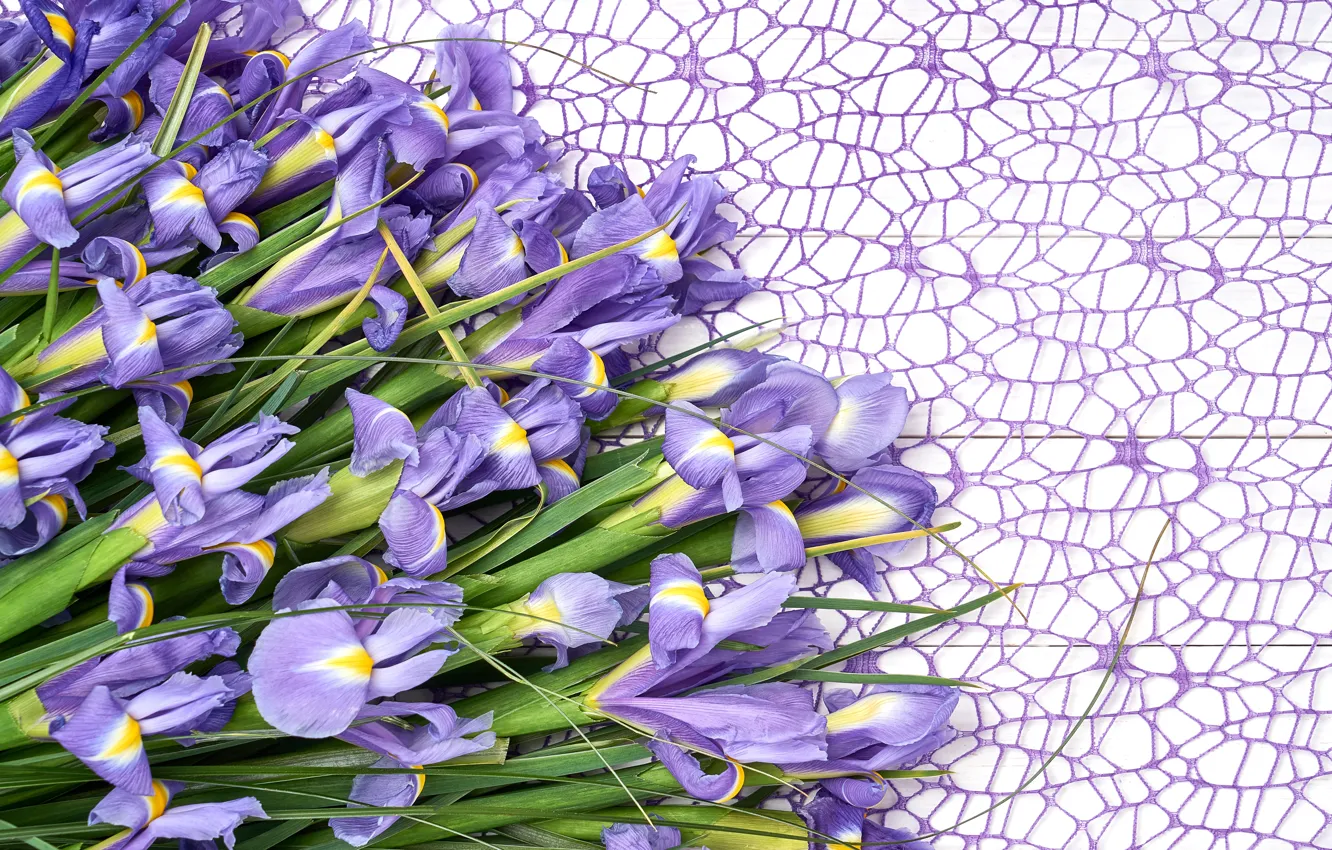 Photo wallpaper flowers, bouquet, iris