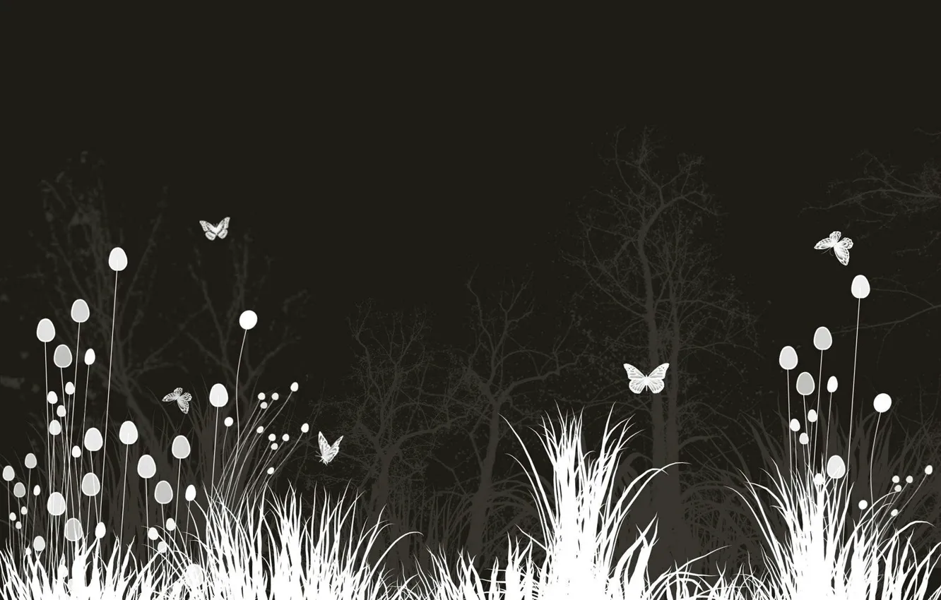 Photo wallpaper Flowers, Night, Butterfly, Meadow