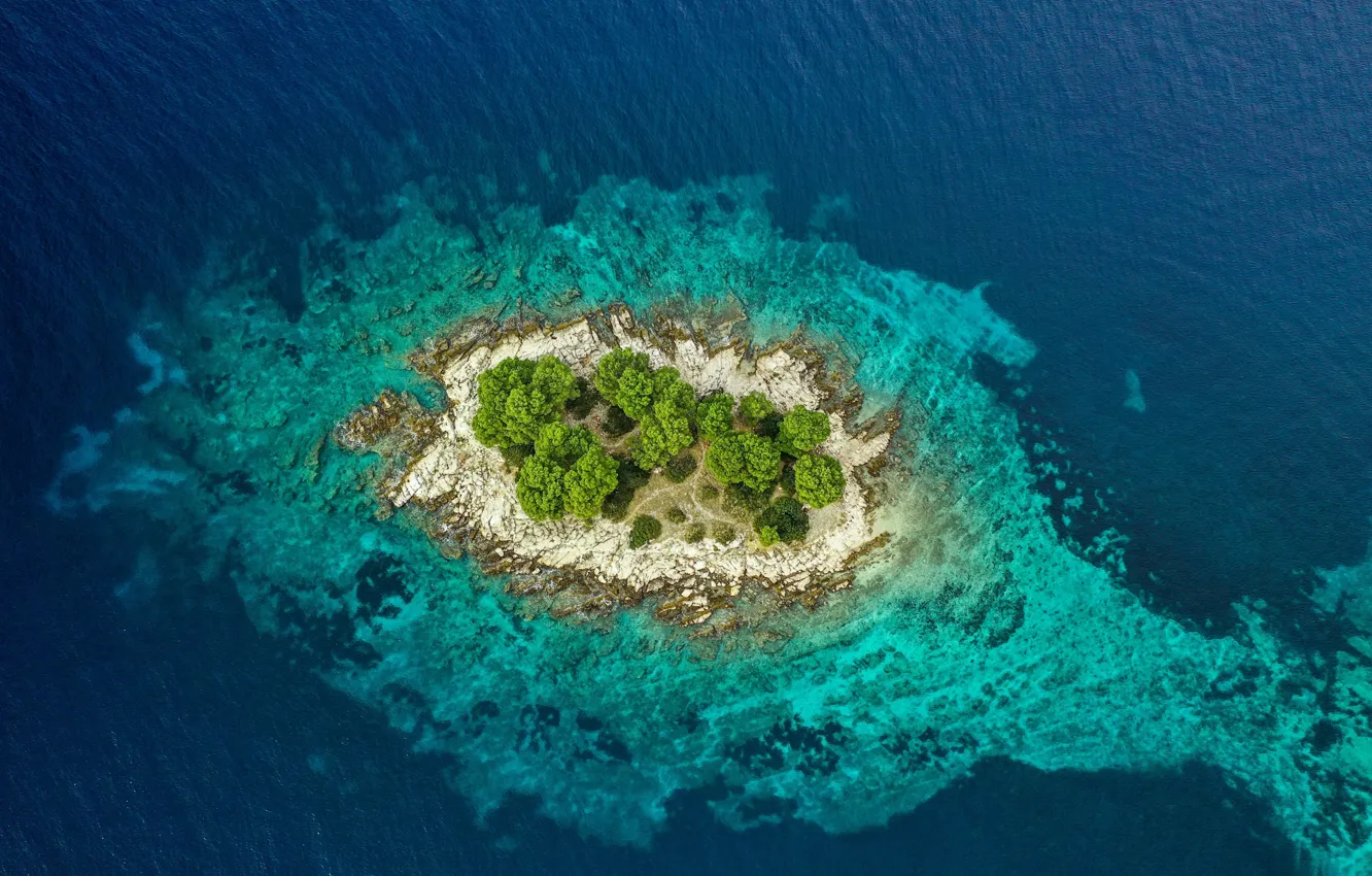 Photo wallpaper trees, lake, island