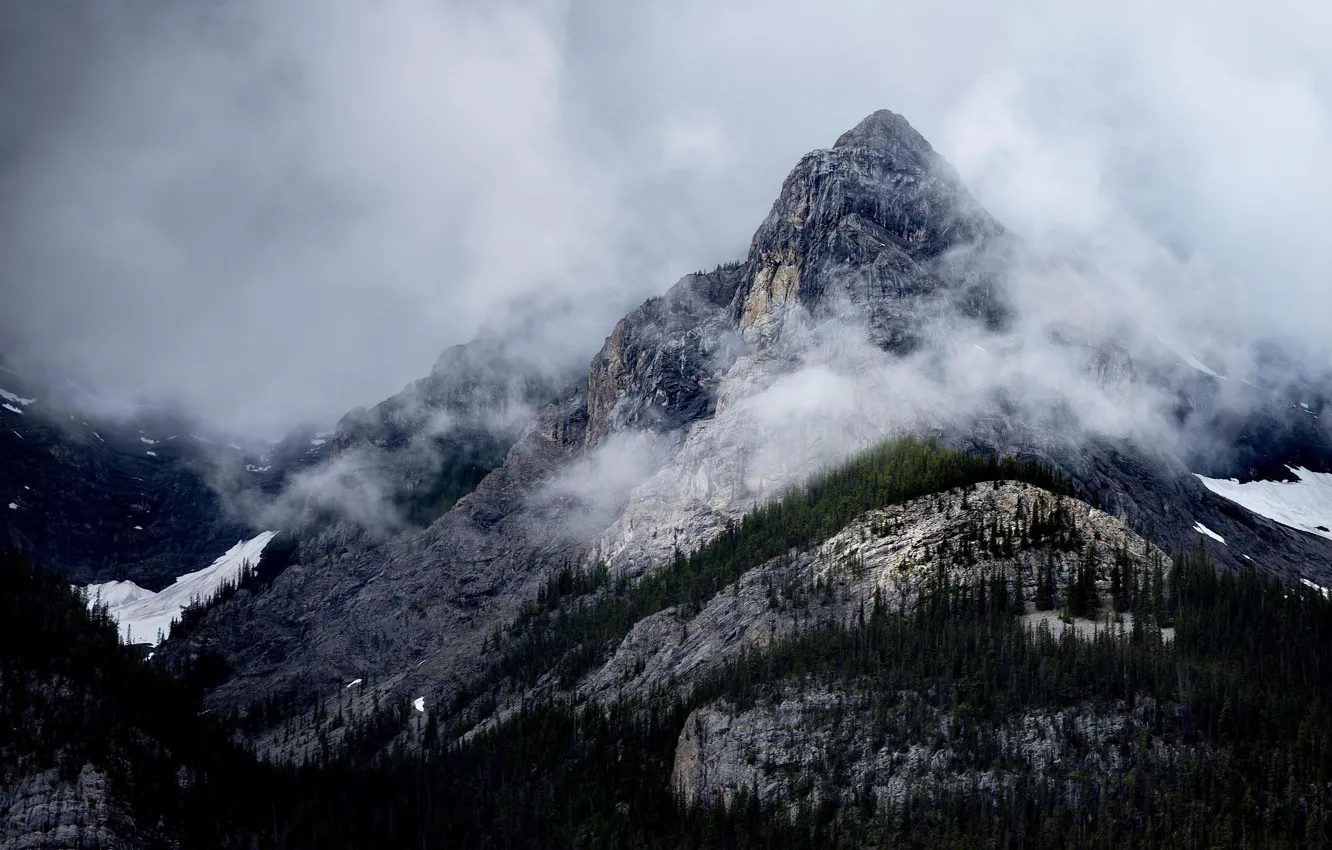 Photo wallpaper the sky, trees, mountains, nature, fog, rocks, Canada, Canada