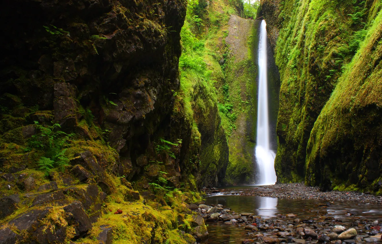 Photo wallpaper forest, mountains, nature, river, Oregon, River Gorge