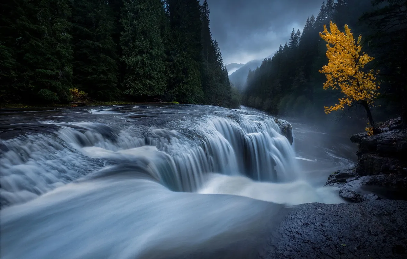 Photo wallpaper autumn, forest, water, river, tree, stream, excerpt