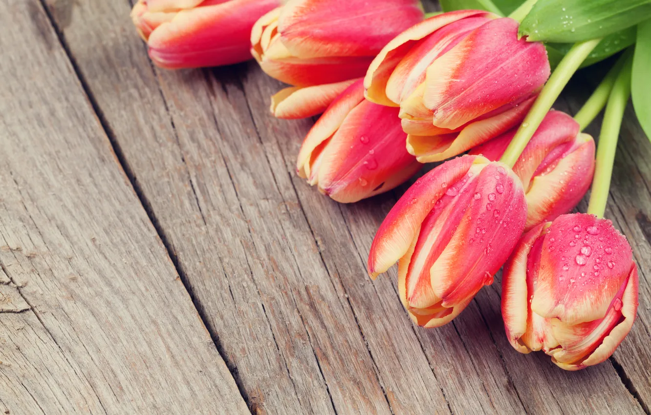 Photo wallpaper flowers, red, bouquet, tulips, red, wood, flowers, tulips