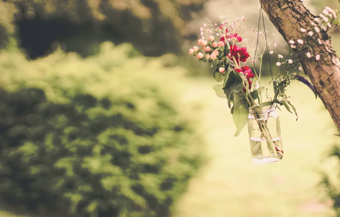 Photo wallpaper trees, flowers, Bank