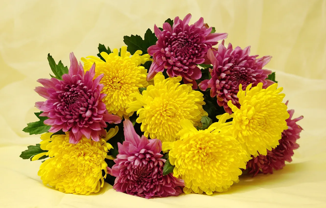 Photo wallpaper flowers, holiday, beauty, bouquet, chrysanthemum