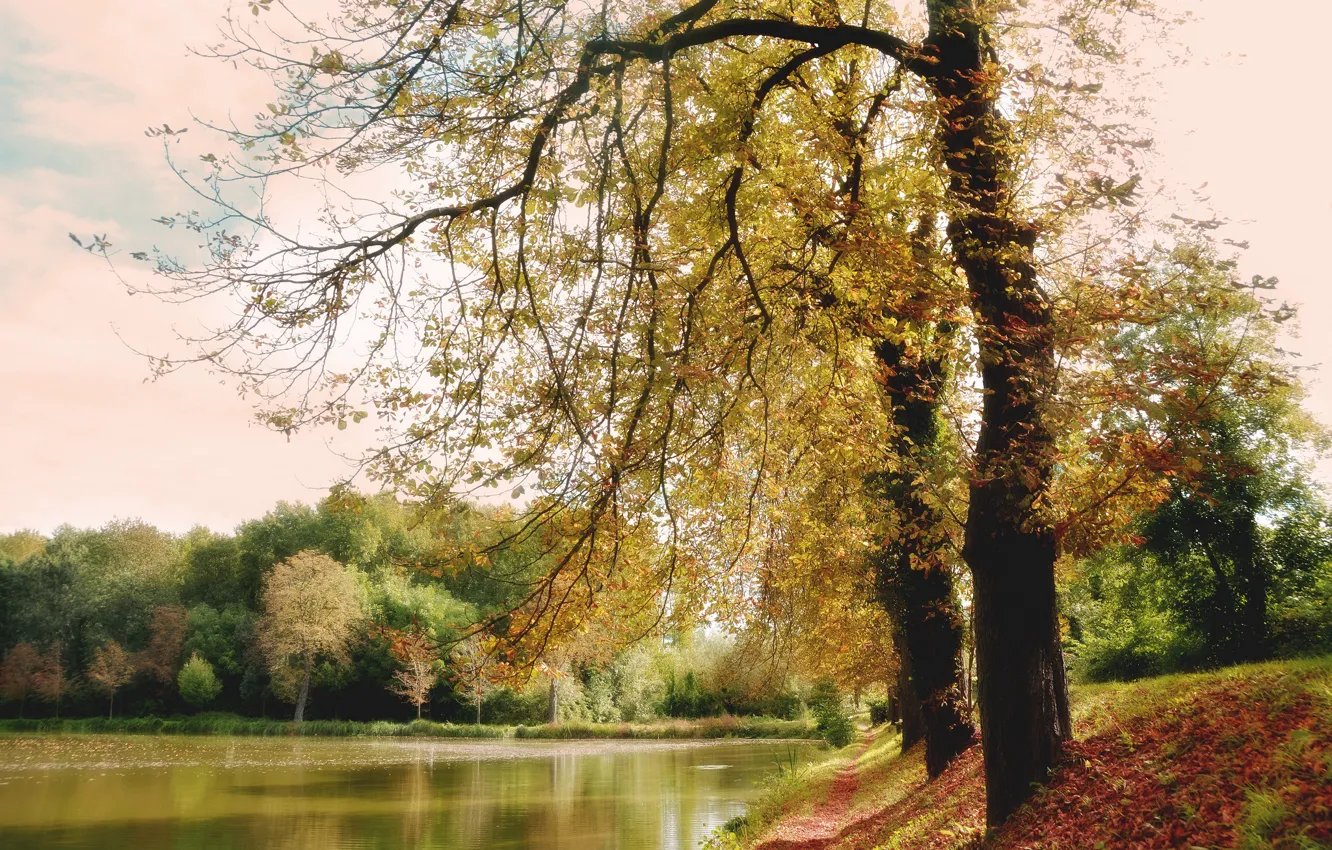 Photo wallpaper autumn, forest, lake, Park