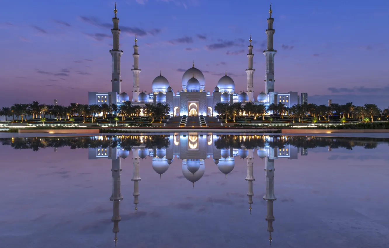 Photo wallpaper water, night, the city, reflection, palm trees, lighting, the dome, UAE