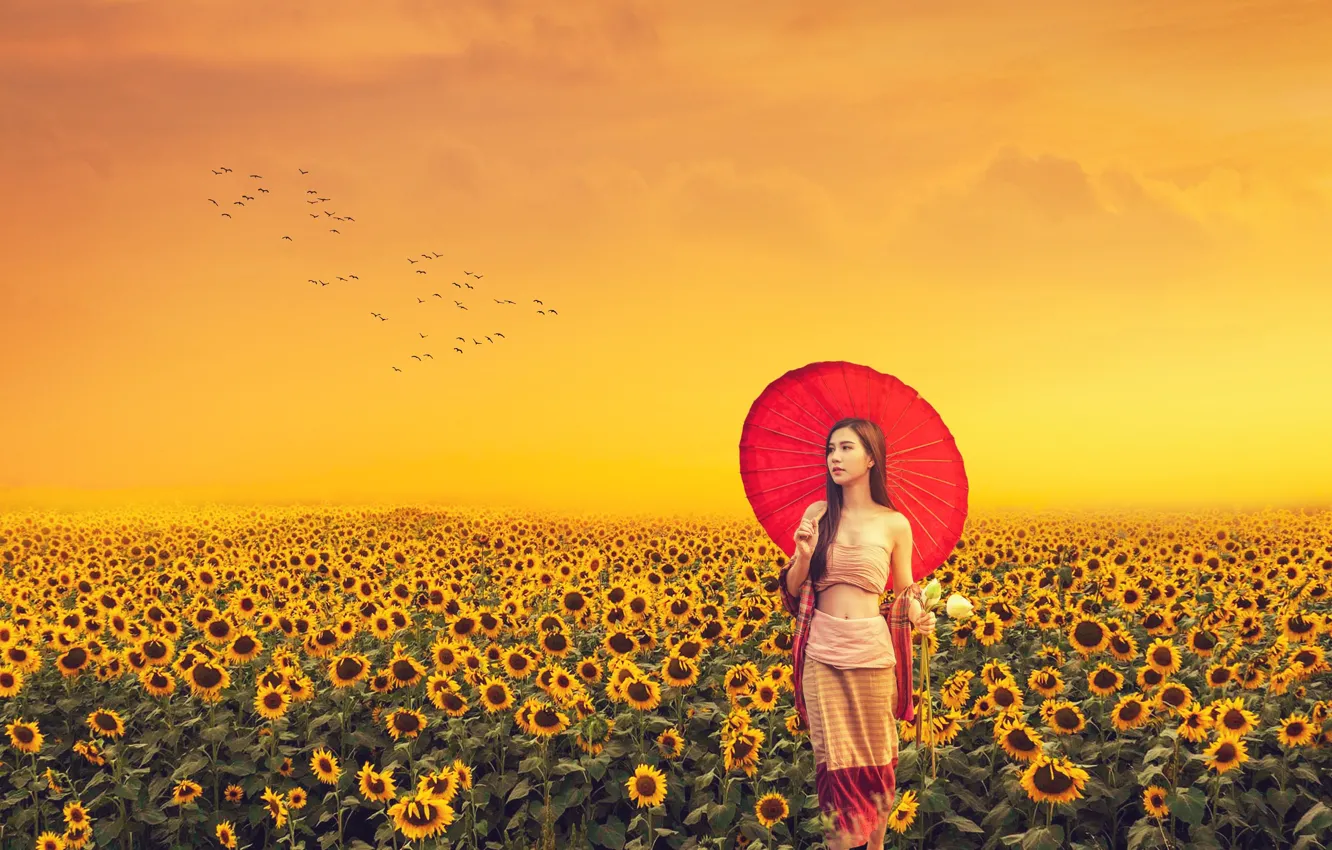 Photo wallpaper summer, one, red umbrella, cute, a flock of birds, Asian girl, field of sunflowers, asian …