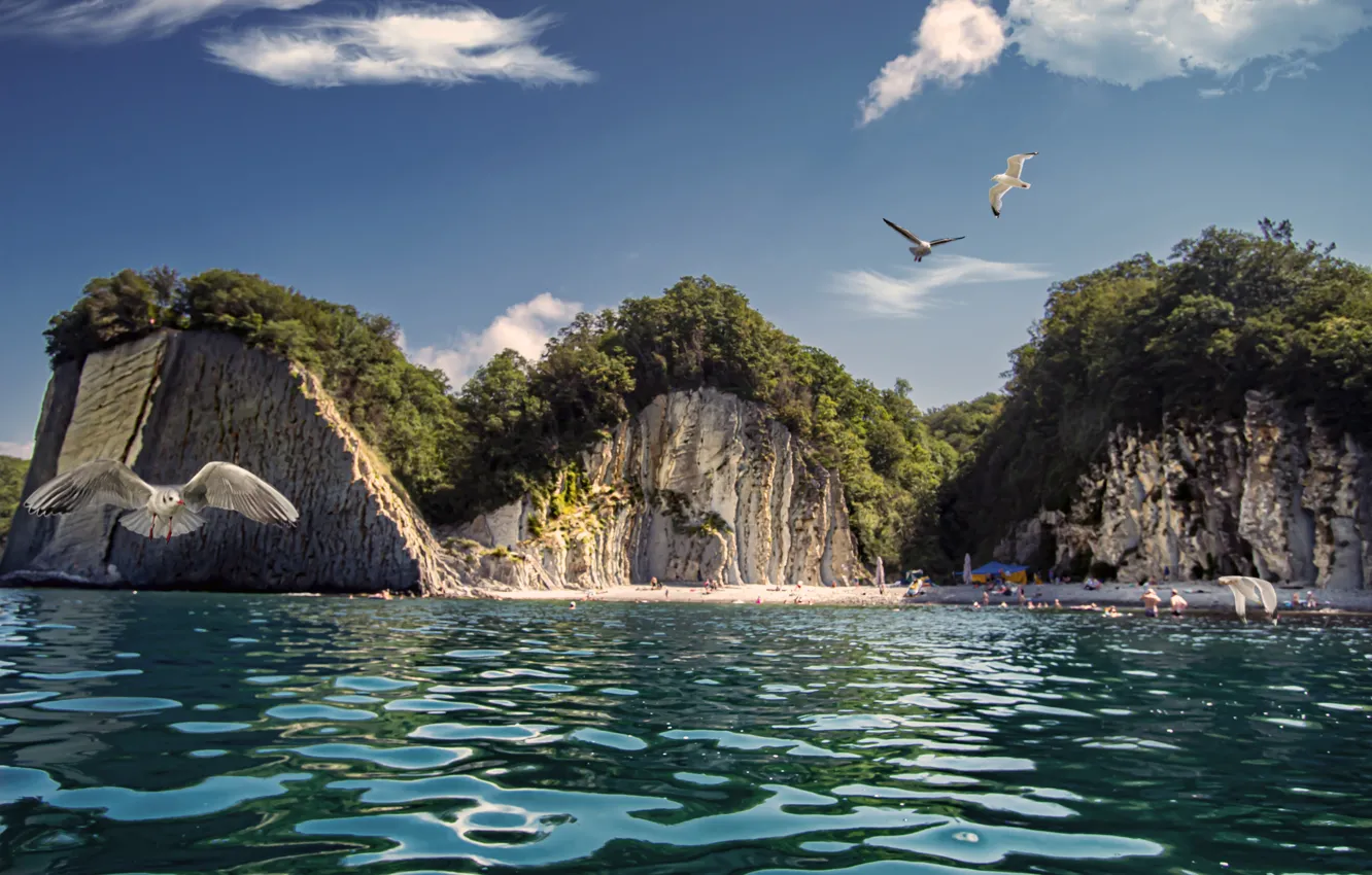Photo wallpaper sea, beach, landscape, birds, nature, rocks, seagulls