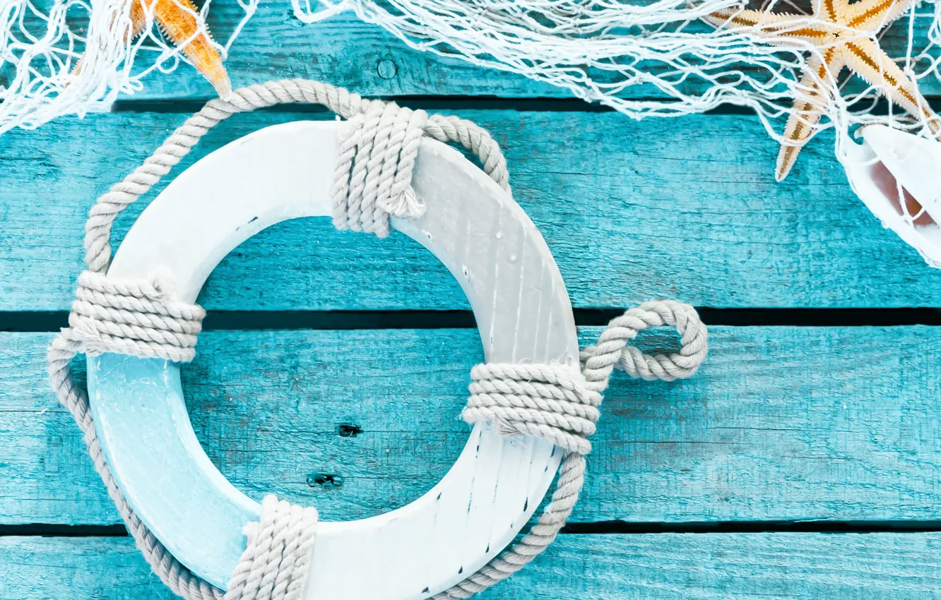 Photo wallpaper circles, mesh, shell, starfish