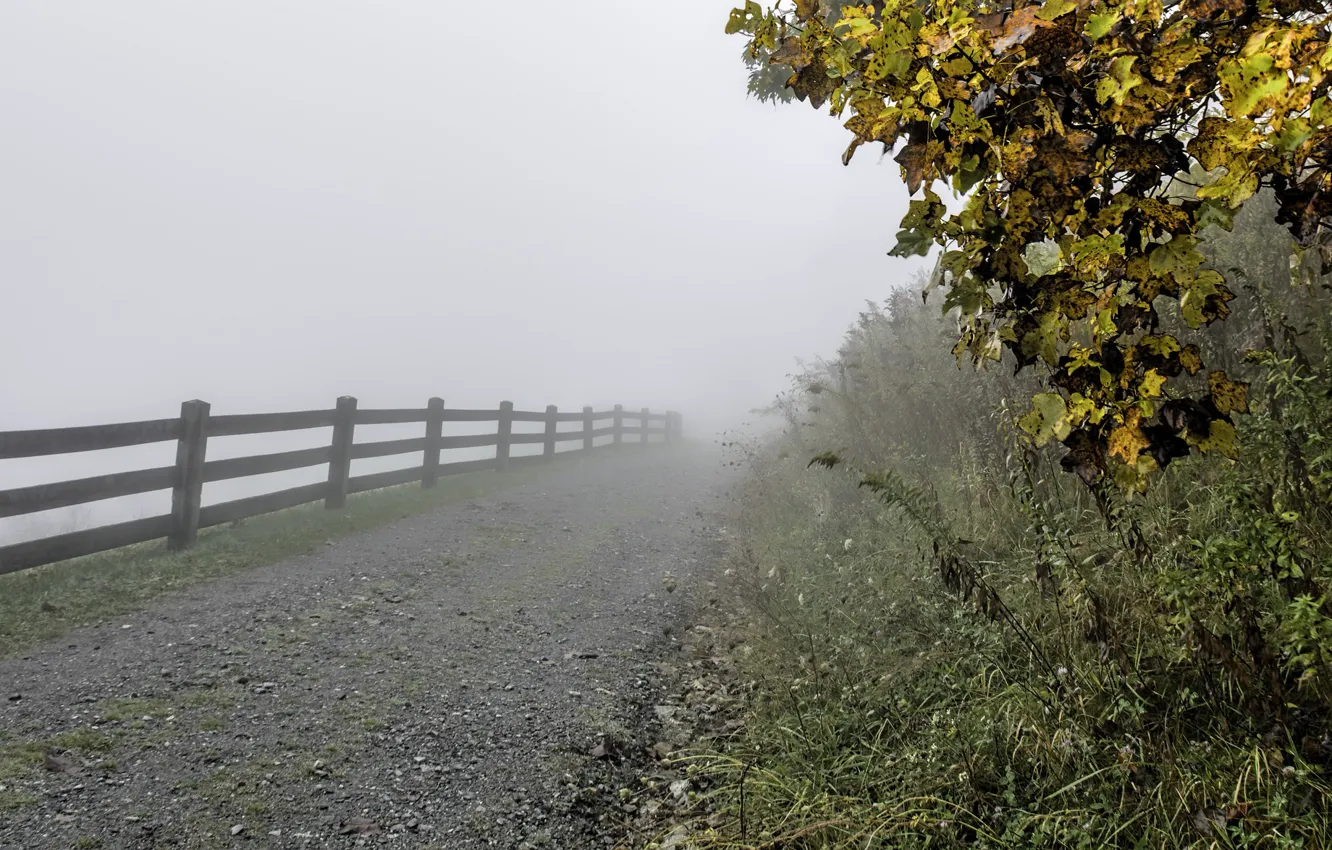Photo wallpaper autumn, grass, leaves, trees, fog, the fence, the fence, USA