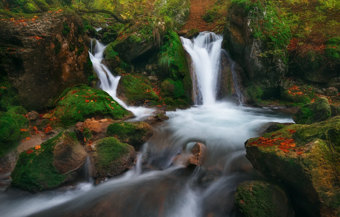 Photo wallpaper stream, stones, moss, river, waterfalls, cascade