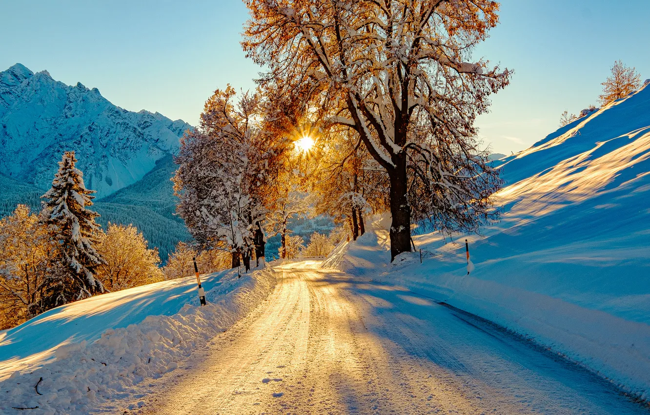 Photo wallpaper winter, road, the sky, the sun, rays, light, snow, trees