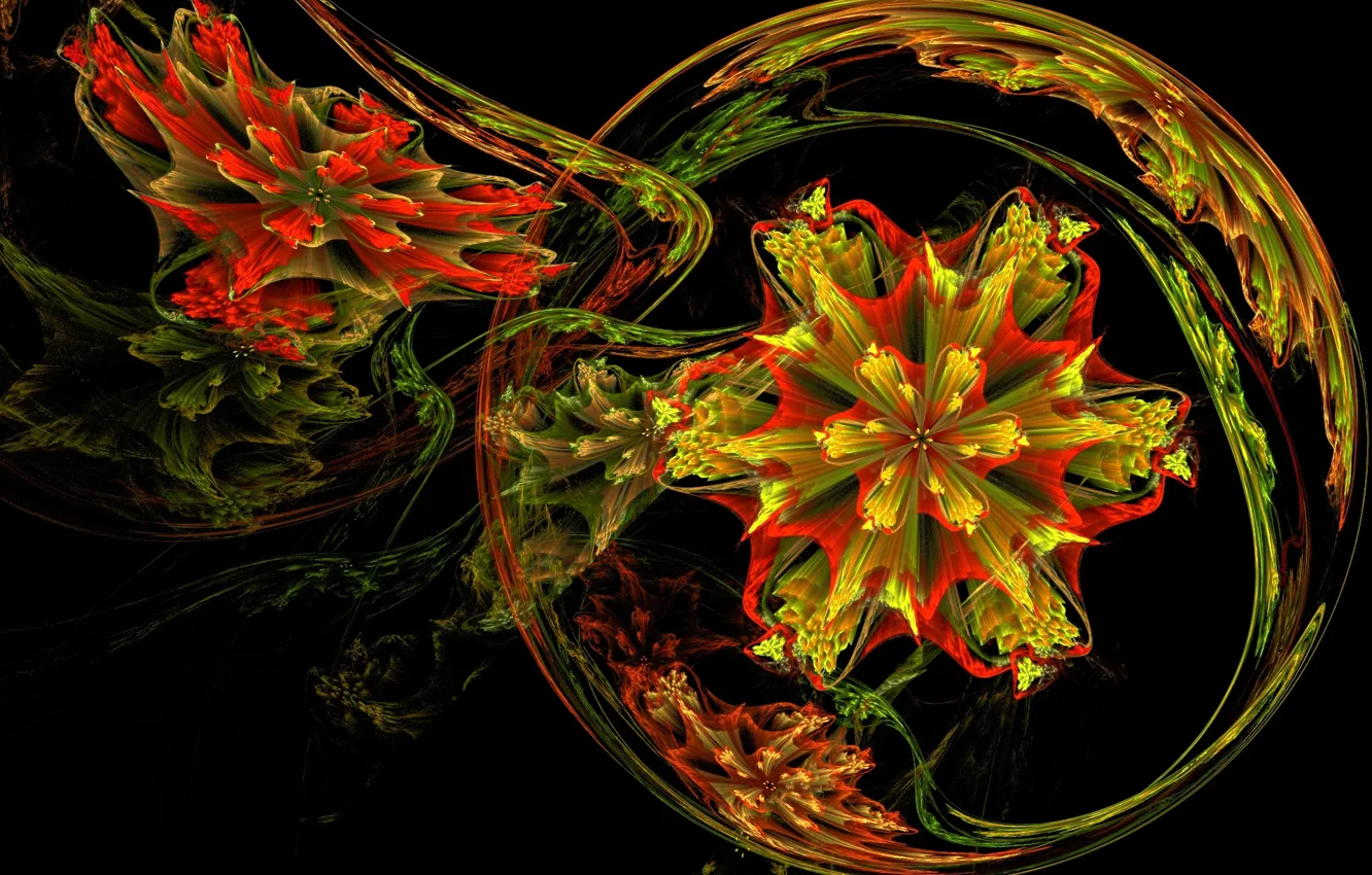 Photo wallpaper flowers, abstraction, background, Wallpaper, patterns, star, round, fractal