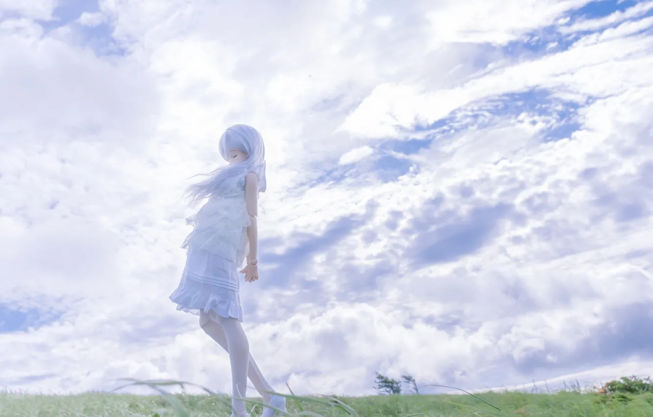 Photo wallpaper the sky, toy, doll, blonde
