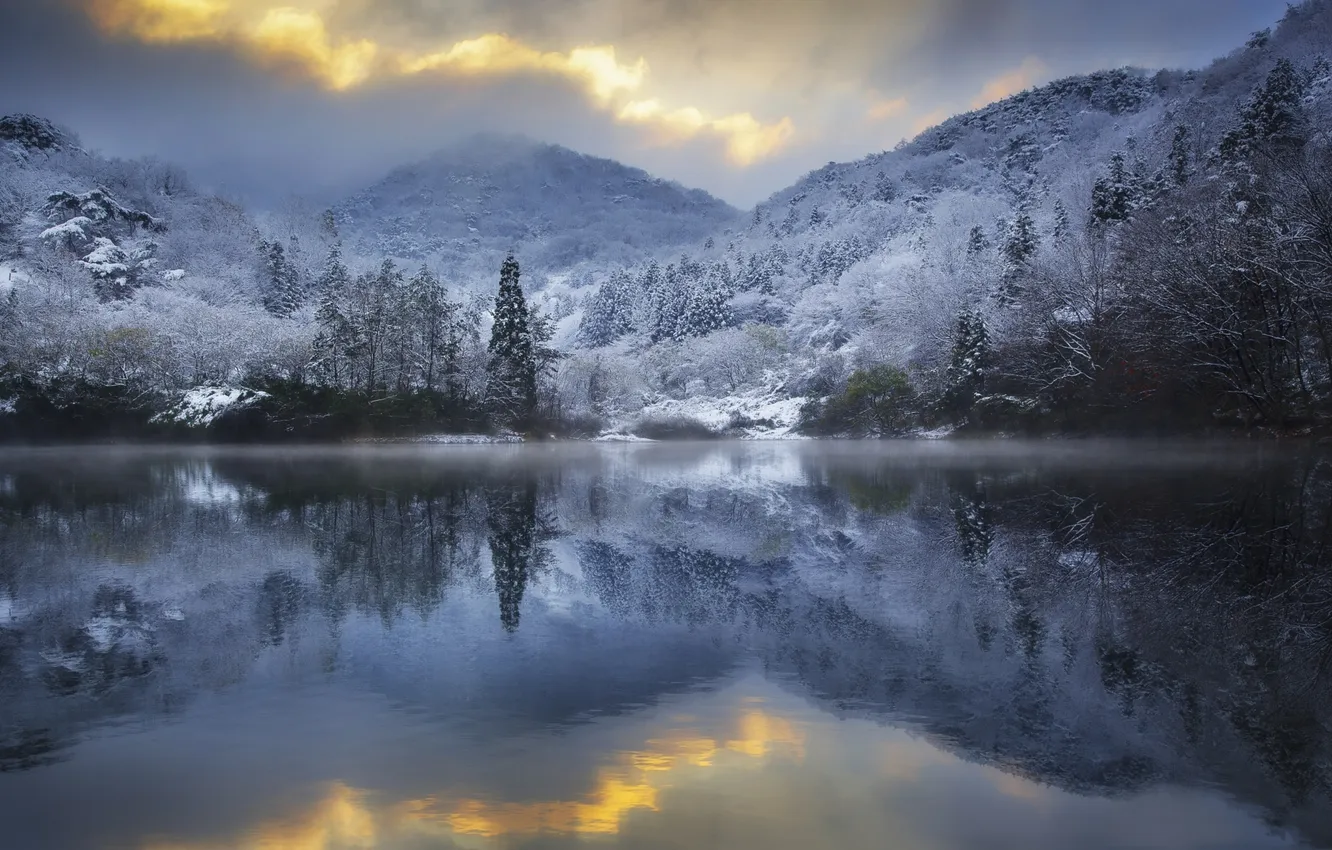 Photo wallpaper winter, frost, trees, lake