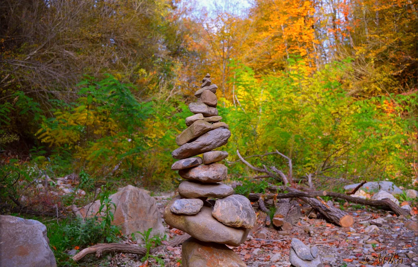 Photo wallpaper Autumn, Forest, Stones, Fall, Autumn, Forest