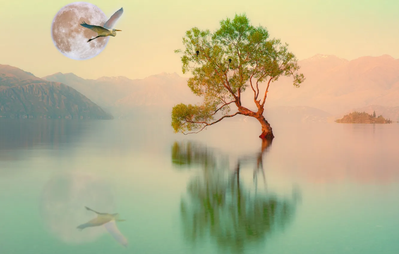 Photo wallpaper fantasy, relax, a remake