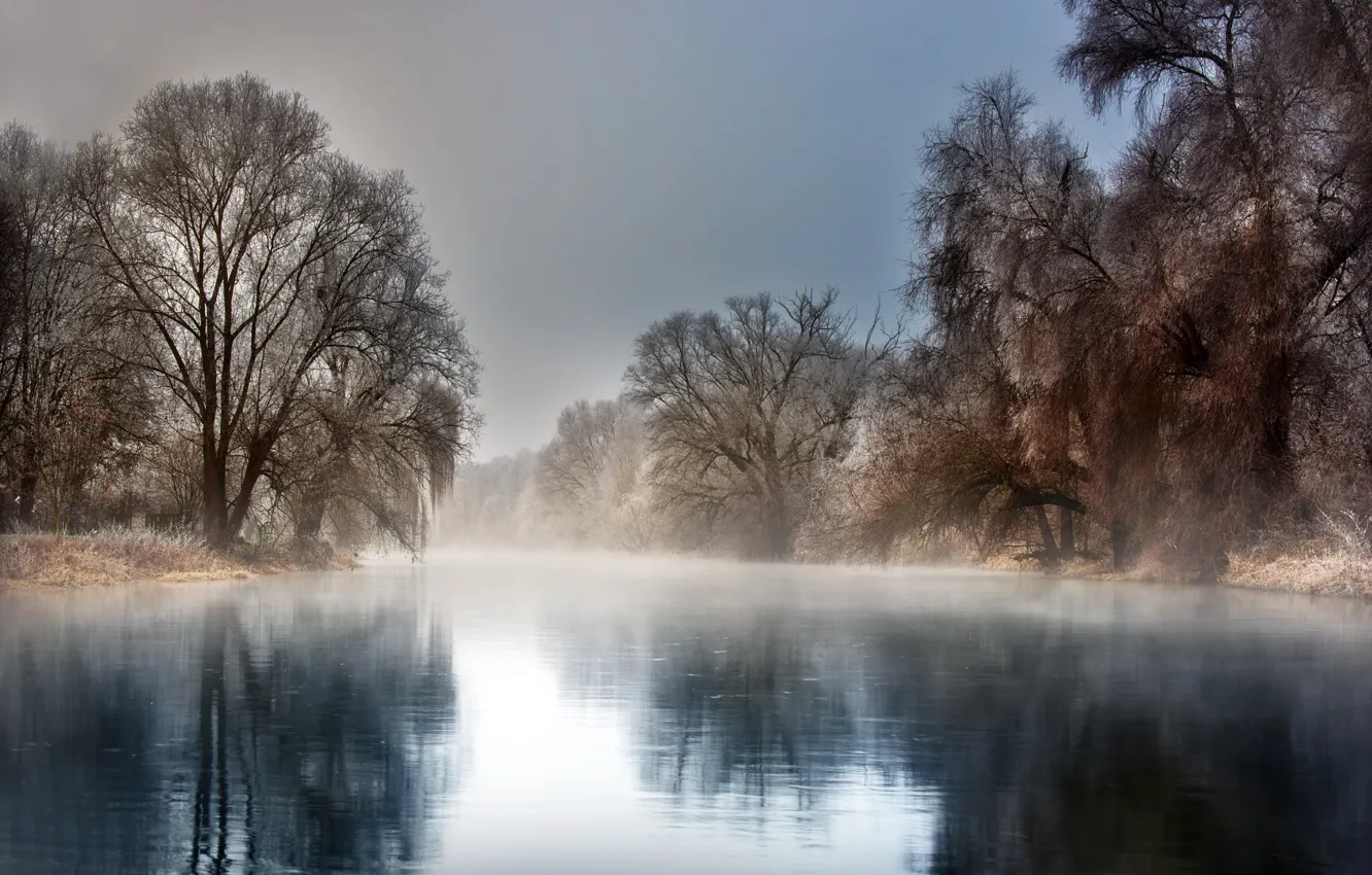 Photo wallpaper winter, frost, trees, landscape, nature, fog, reflection, river