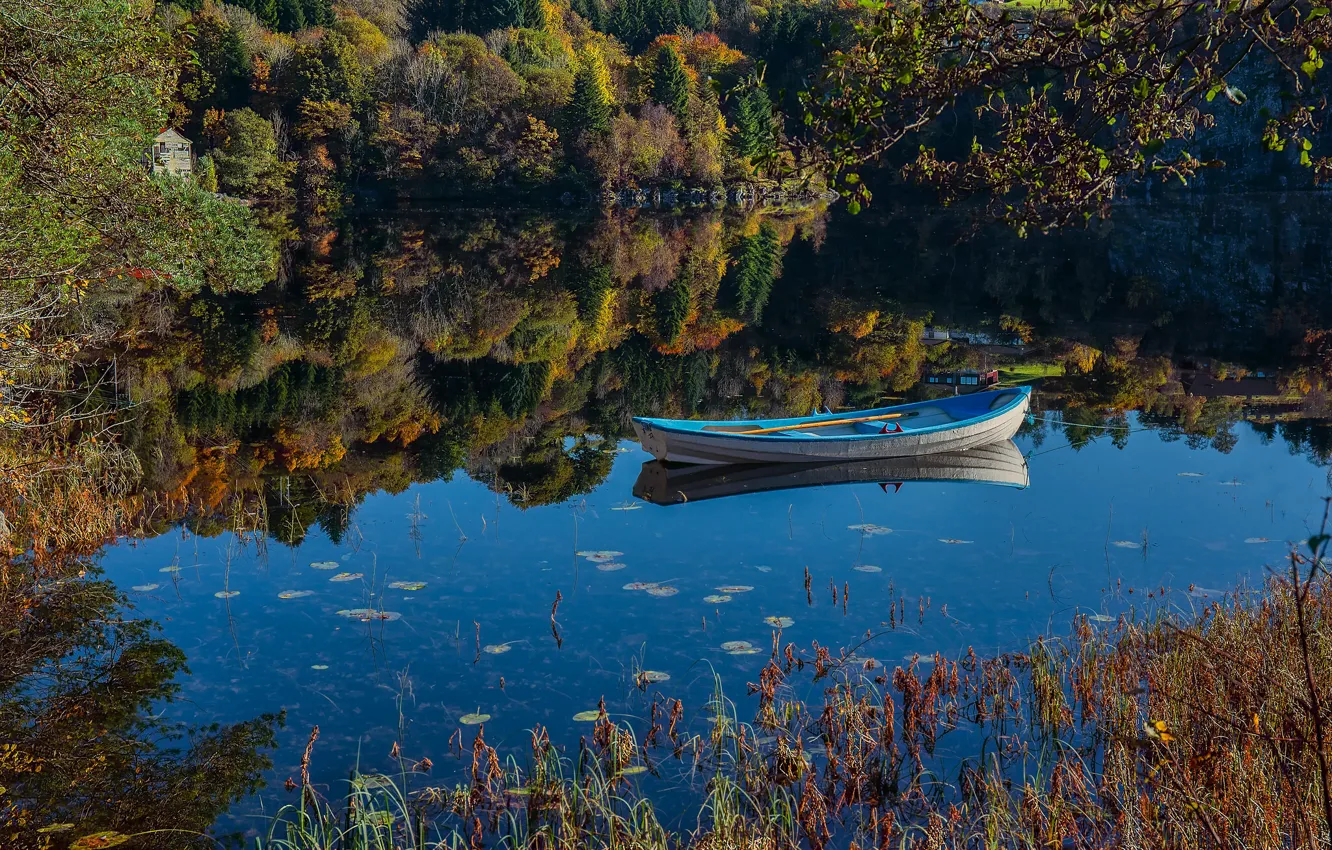 Photo wallpaper forest, lake, reflection, boat, Norway, Norway, Hordaland, Saeterstolen