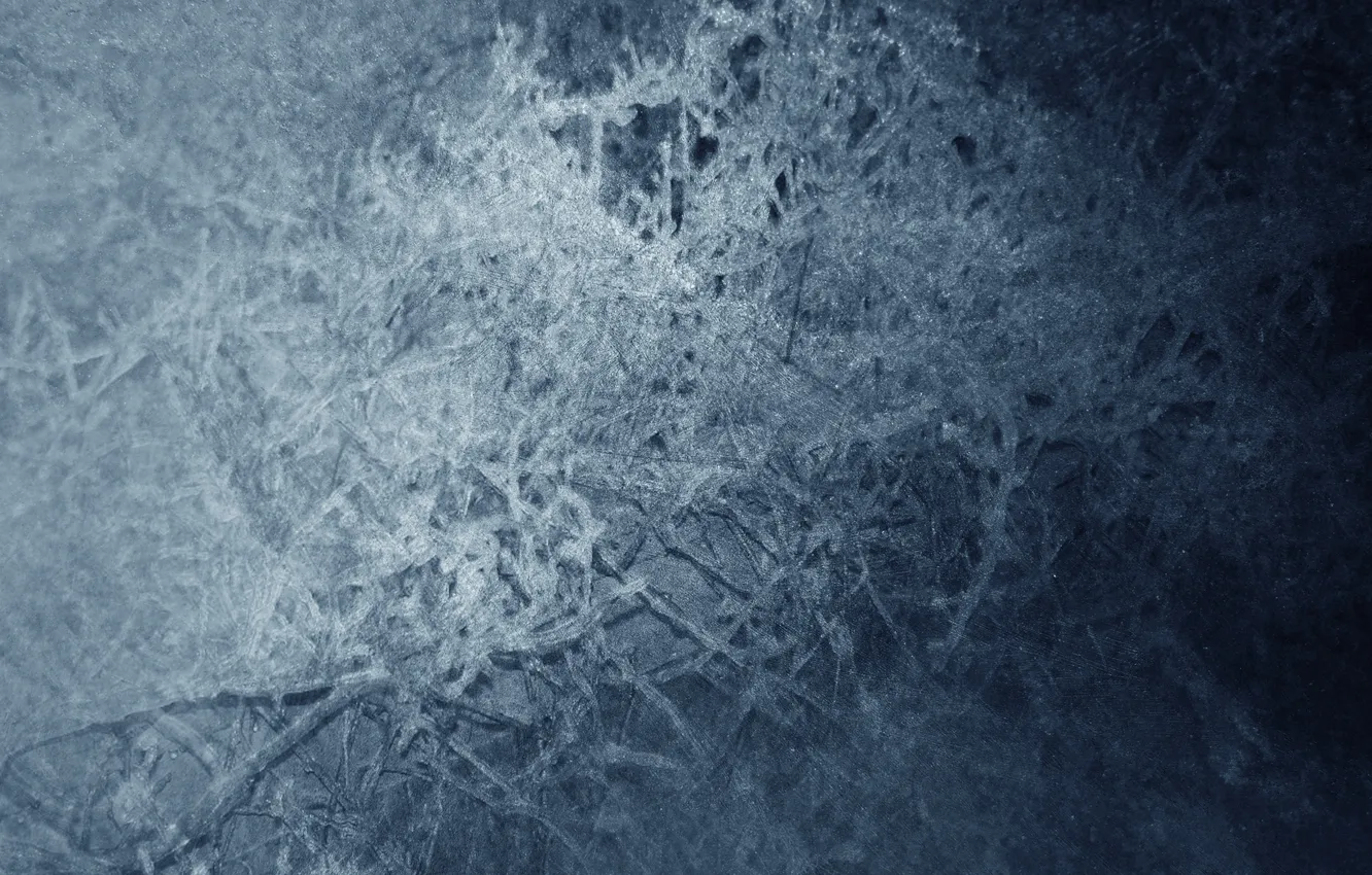 Photo wallpaper frost, frost, twilight