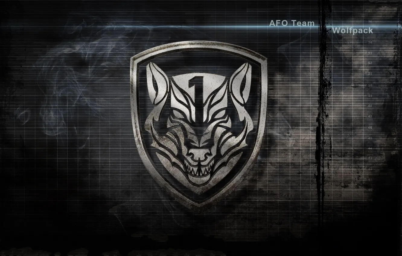 Photo wallpaper logo, 2010, medal of honor, textures, wolf