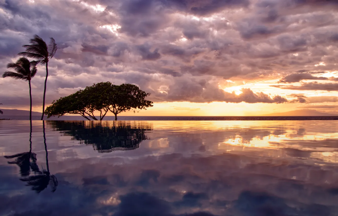 Photo wallpaper sea, the sky, water, clouds, trees, reflection, palm trees, the ocean