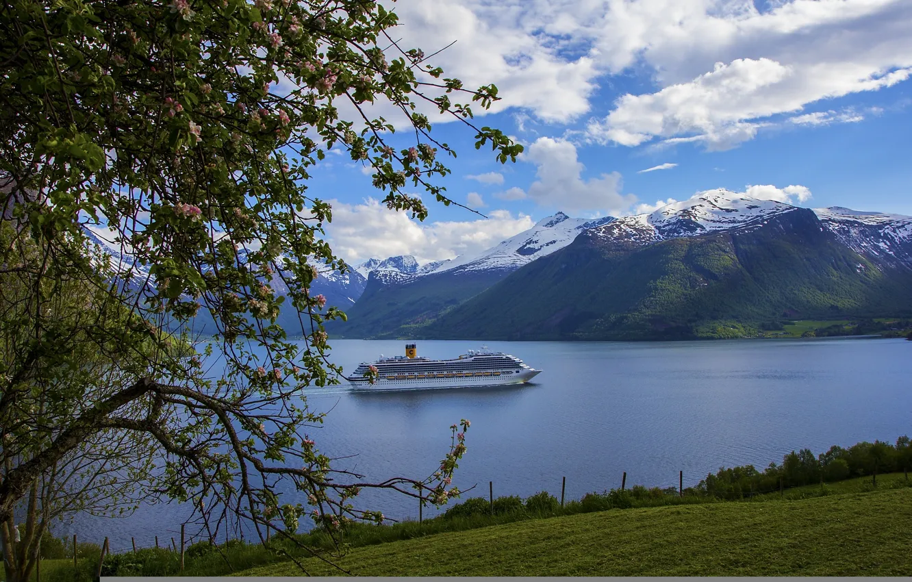 Photo wallpaper mountains, tree, Sweden, liner, Sweden, the fjord, Costa Fortuna
