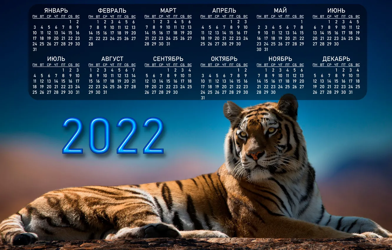 Photo wallpaper Tiger, Calendar, Animal, Big cat, 2022, Year of the Tiger