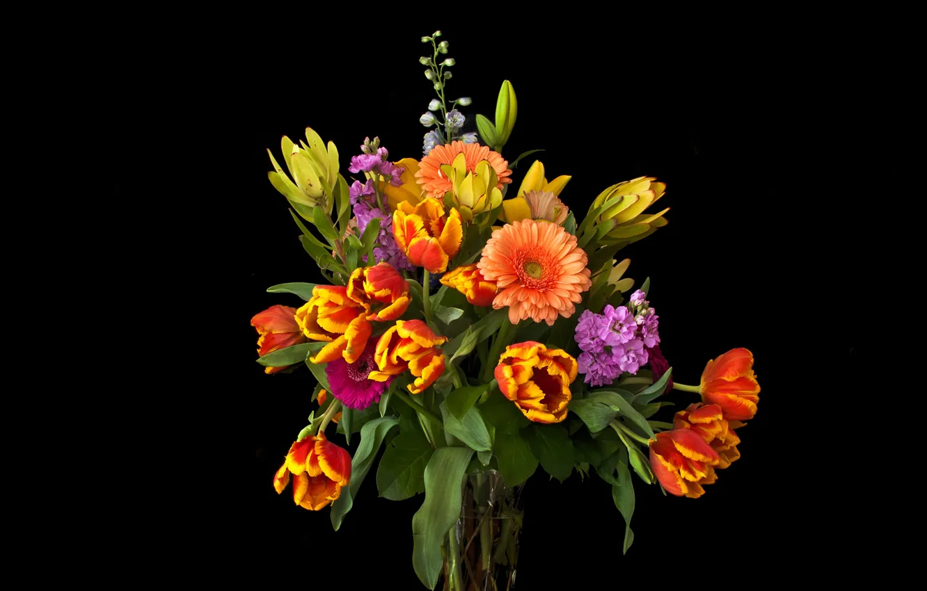 Photo wallpaper flowers, bouquet, tulips, vase, black background, gerbera, gillyflower, mattiola