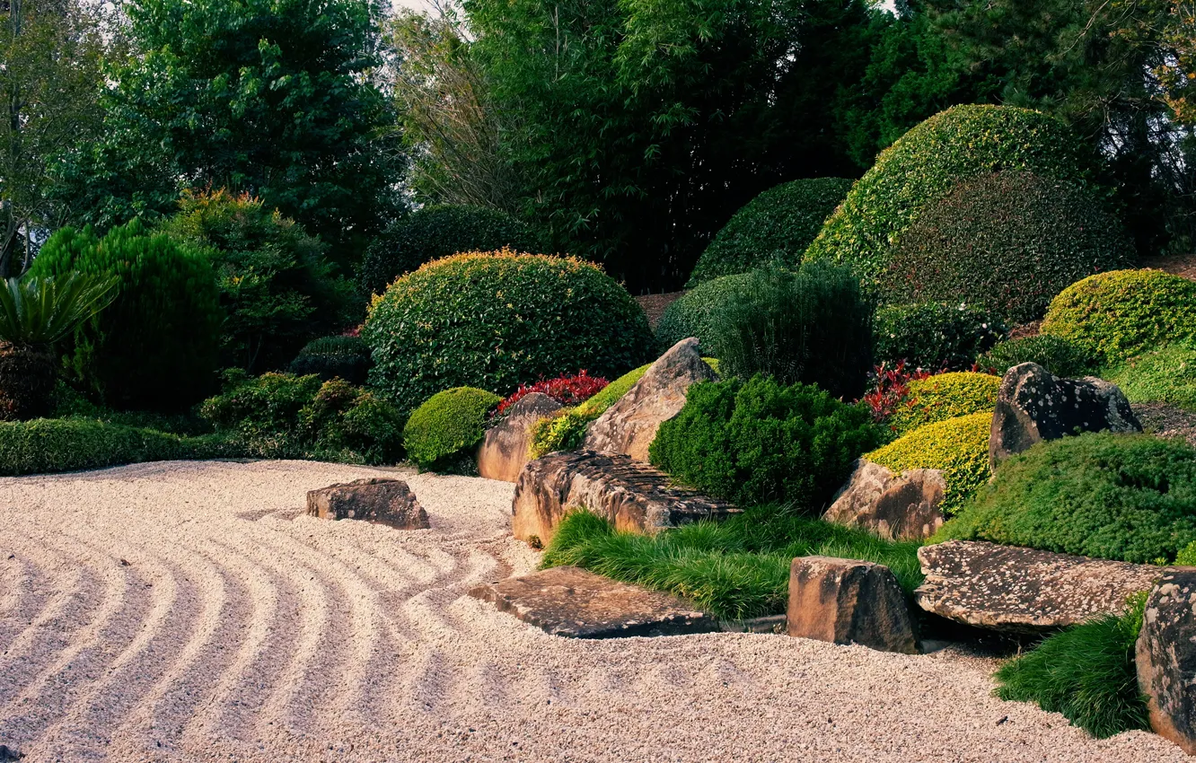 Photo wallpaper greens, trees, Park, stones, Australia, Sunny, gravel, the bushes